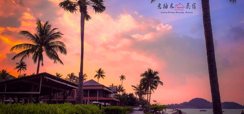 koh sumei